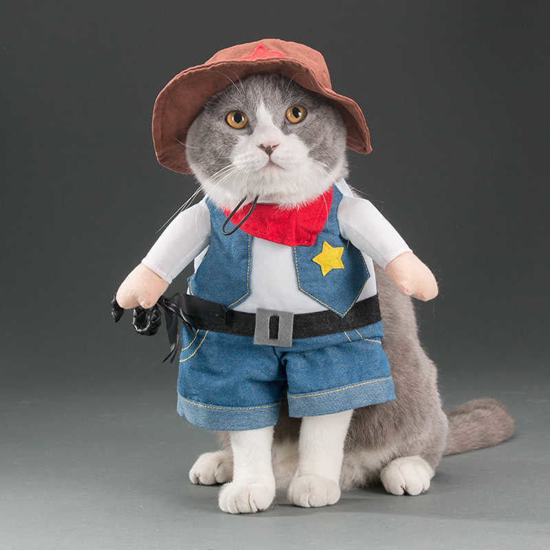 Funny Pets Costum ViralGalleria.com