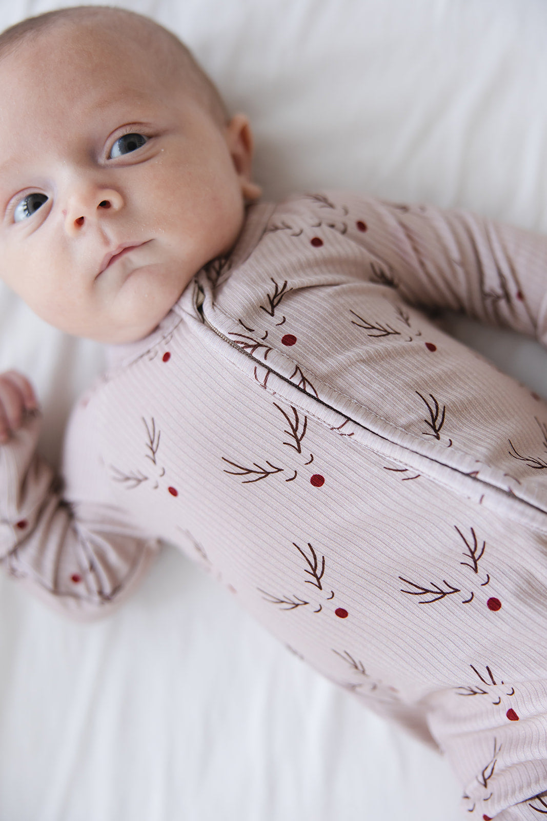 Reindeer Ridge (ribbed) - Zippy Blush Lotus