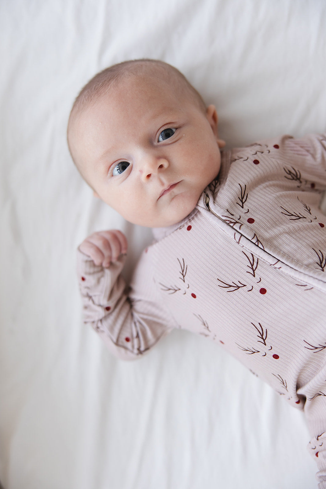 Reindeer Ridge (ribbed) - Zippy Blush Lotus