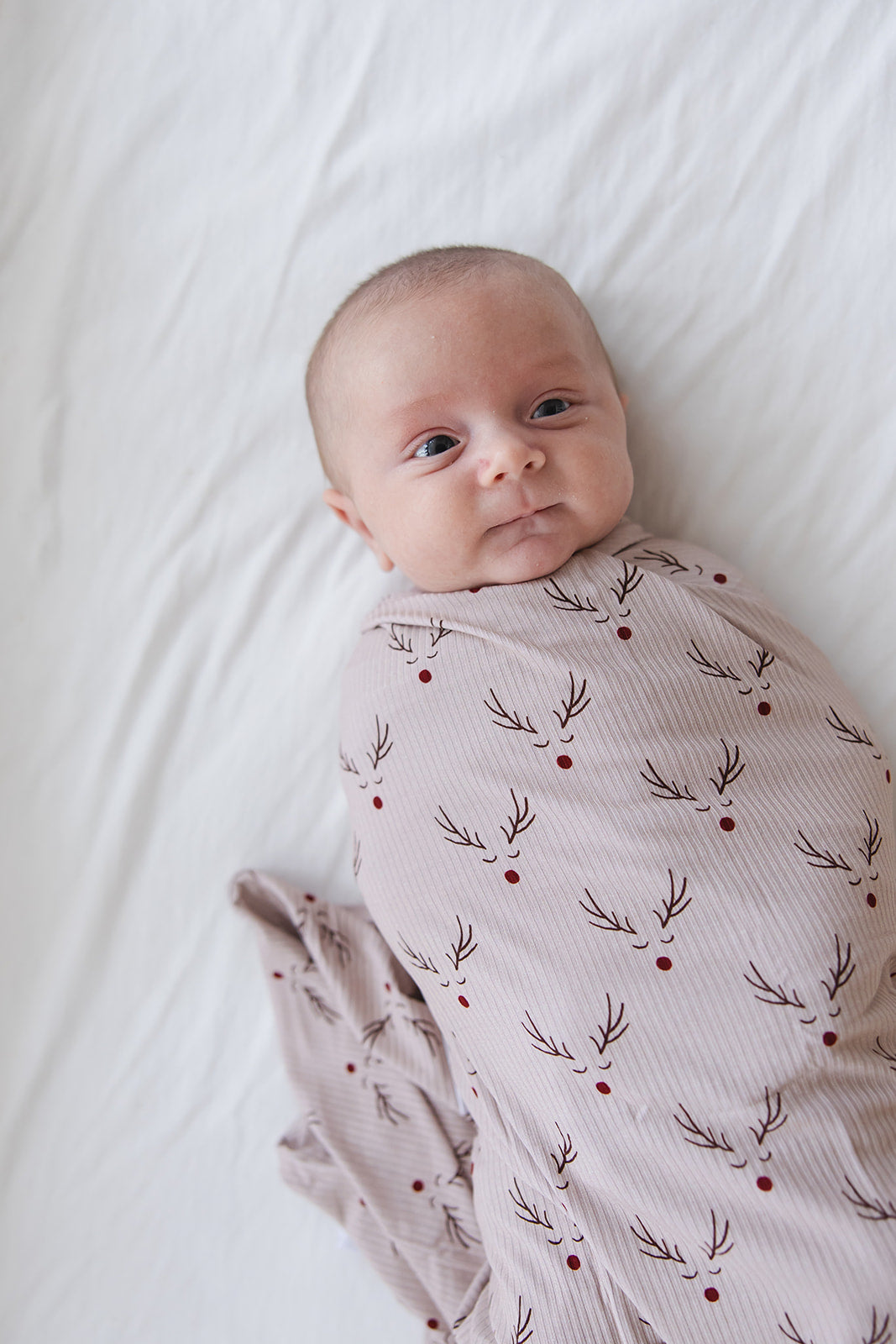 Reindeer Ridge (ribbed) - Lightweight Blanket Blush Lotus