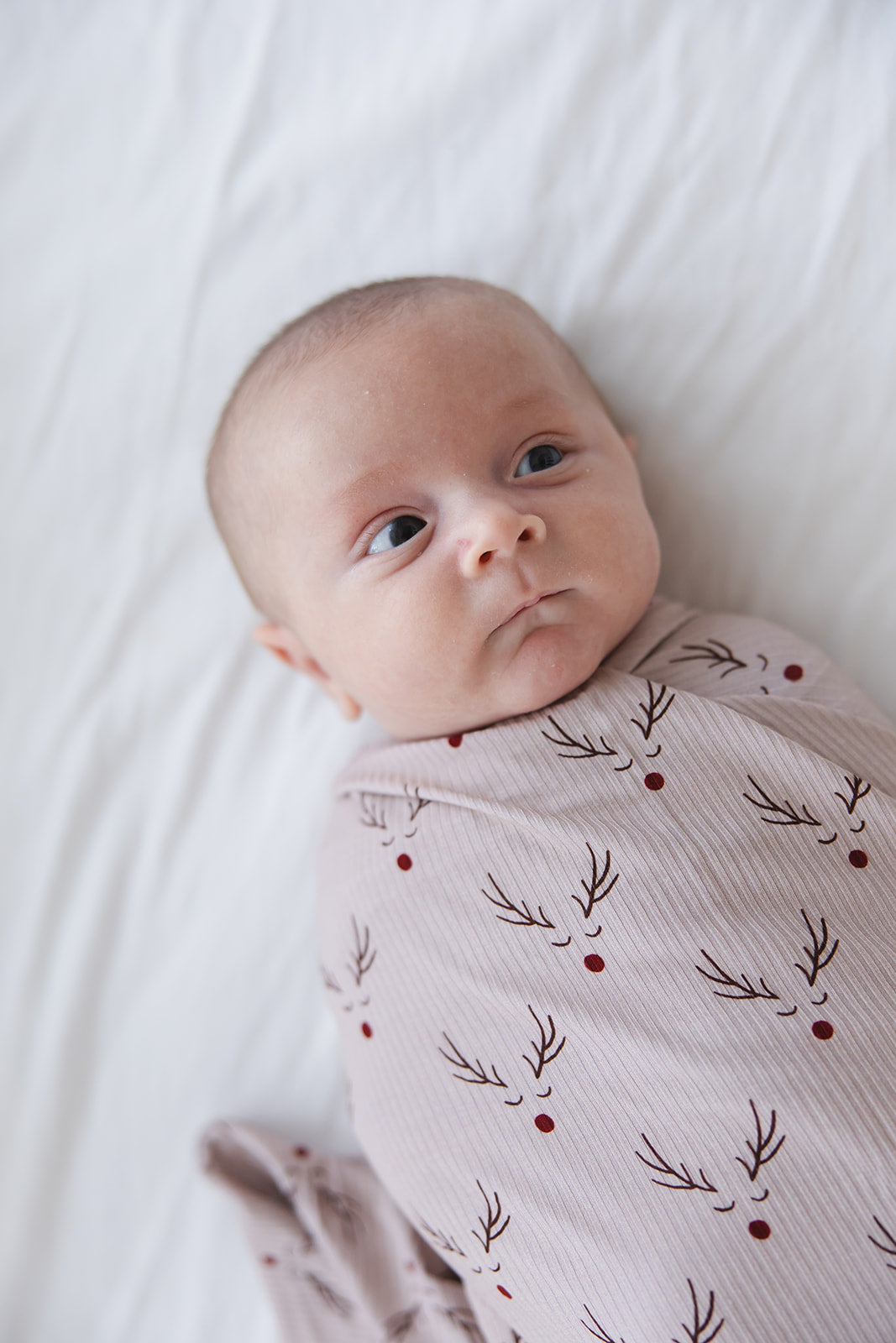 Reindeer Ridge (ribbed) - Lightweight Blanket Blush Lotus