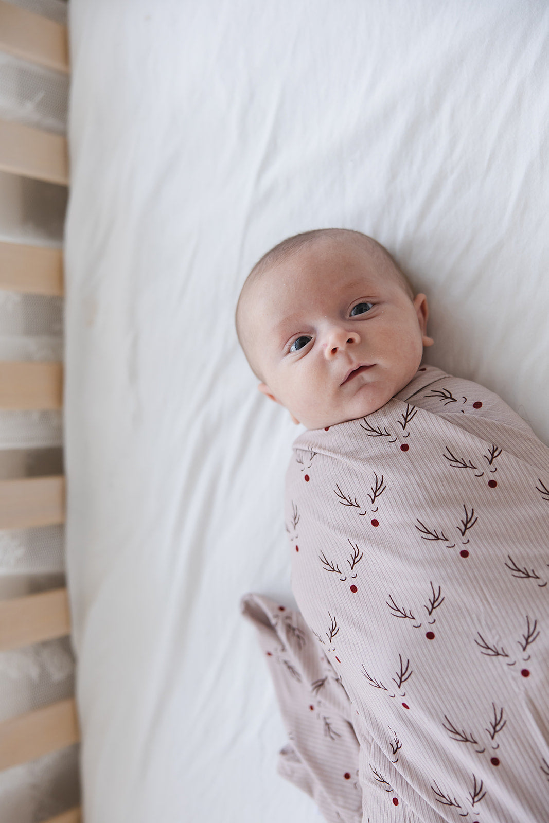 Reindeer Ridge (ribbed) - Lightweight Blanket Blush Lotus