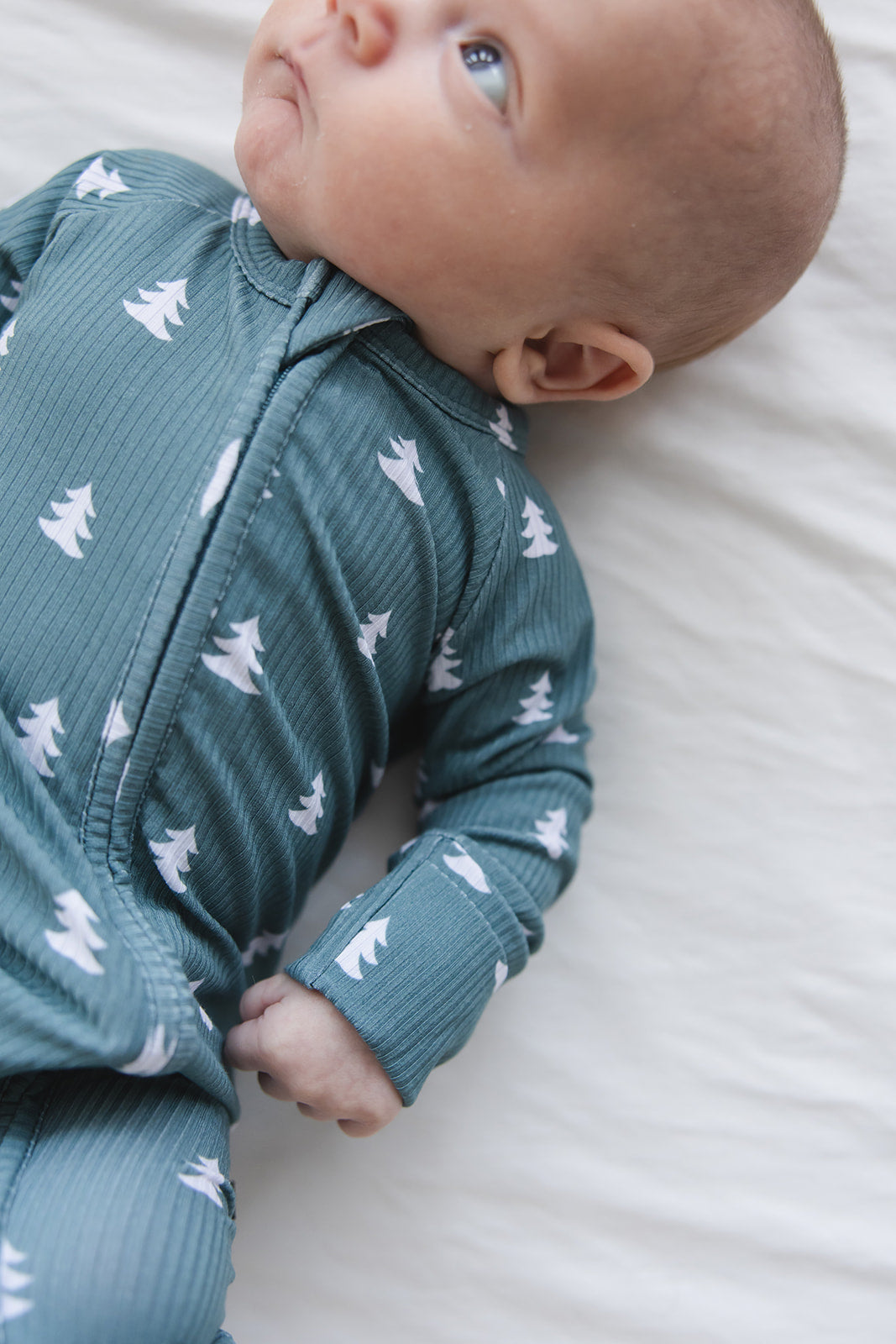 Northern Pine (ribbed) - Zippy Blush Lotus