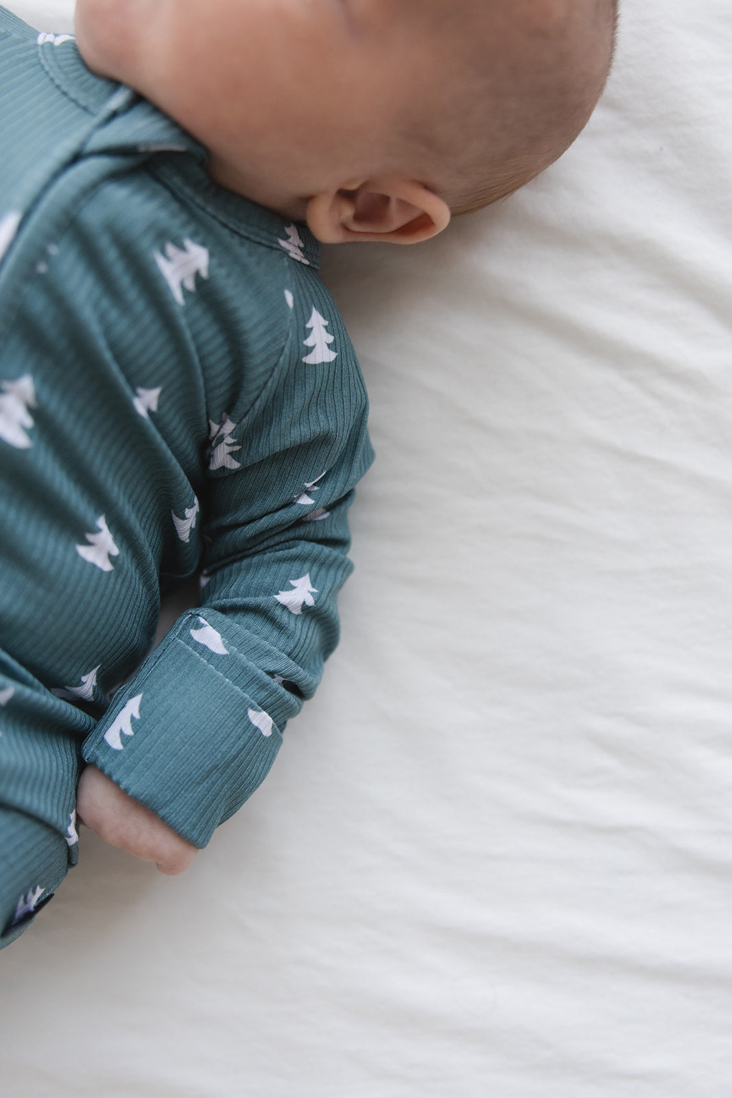 Northern Pine (ribbed) - Zippy Blush Lotus
