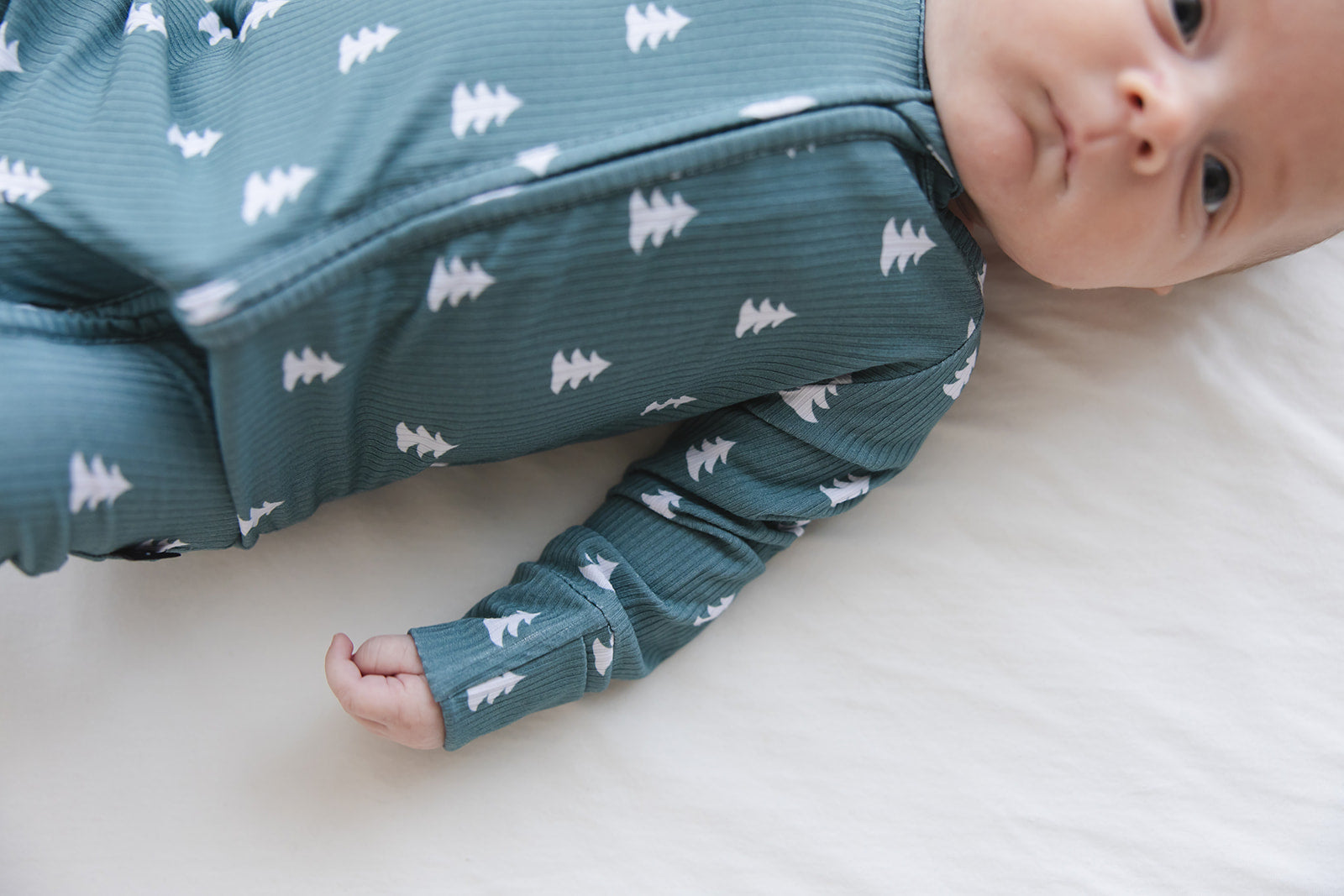 Northern Pine (ribbed) - Zippy Blush Lotus