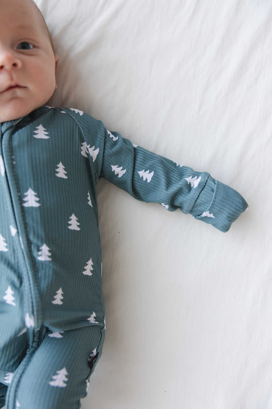 Northern Pine (ribbed) - Zippy Blush Lotus