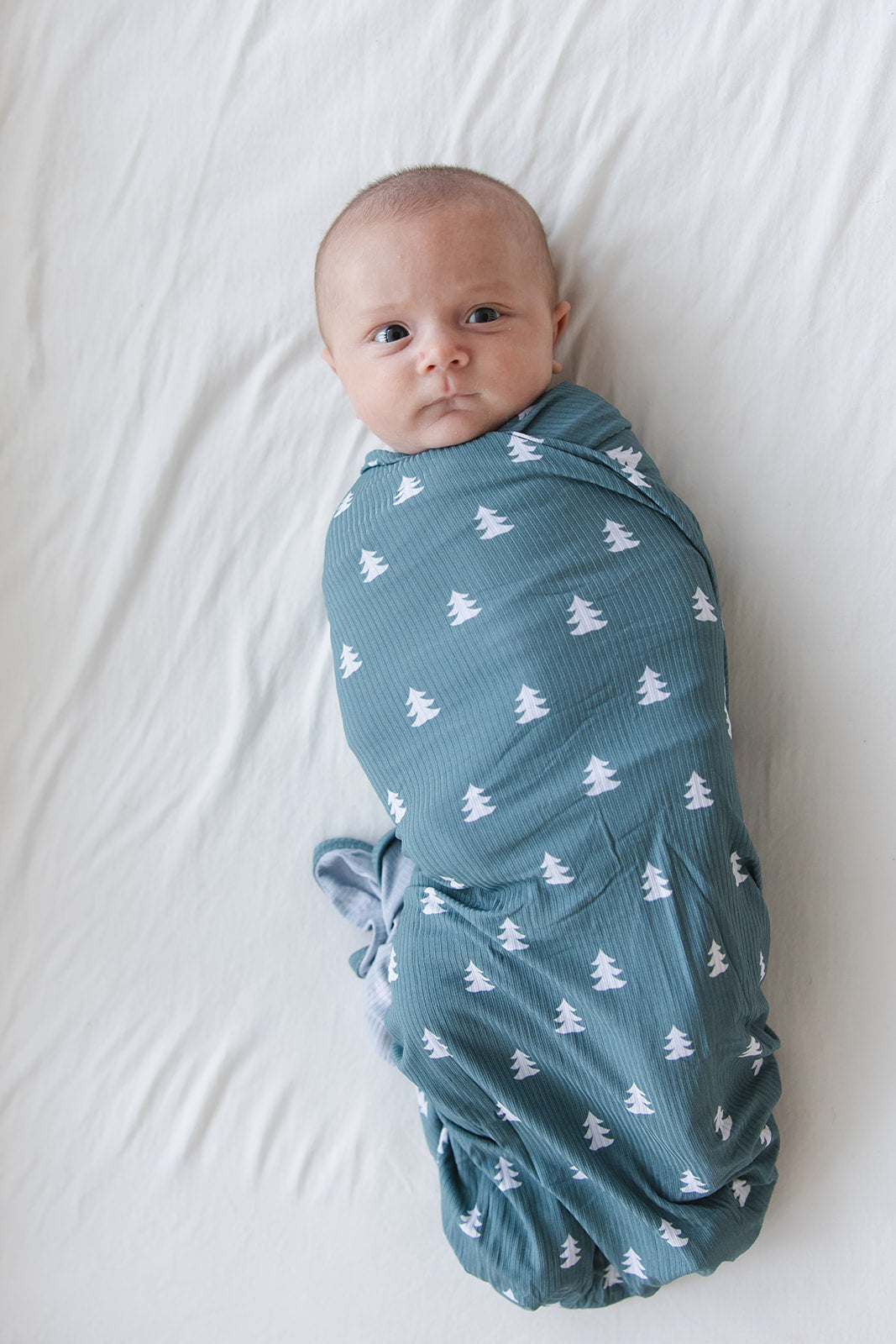 Northern Pine (ribbed) - Lightweight Blanket Blush Lotus