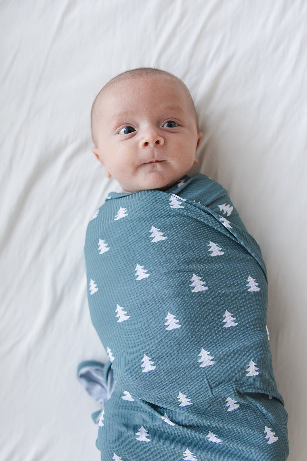 Northern Pine (ribbed) - Lightweight Blanket Blush Lotus