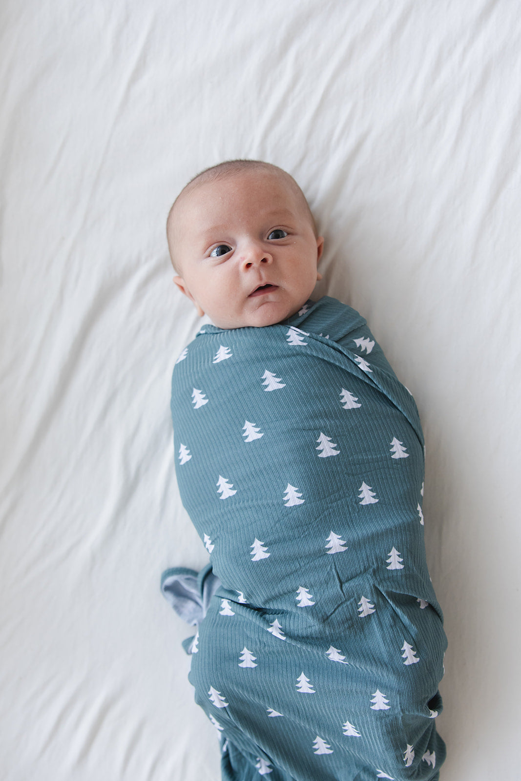 Northern Pine (ribbed) - Lightweight Blanket Blush Lotus