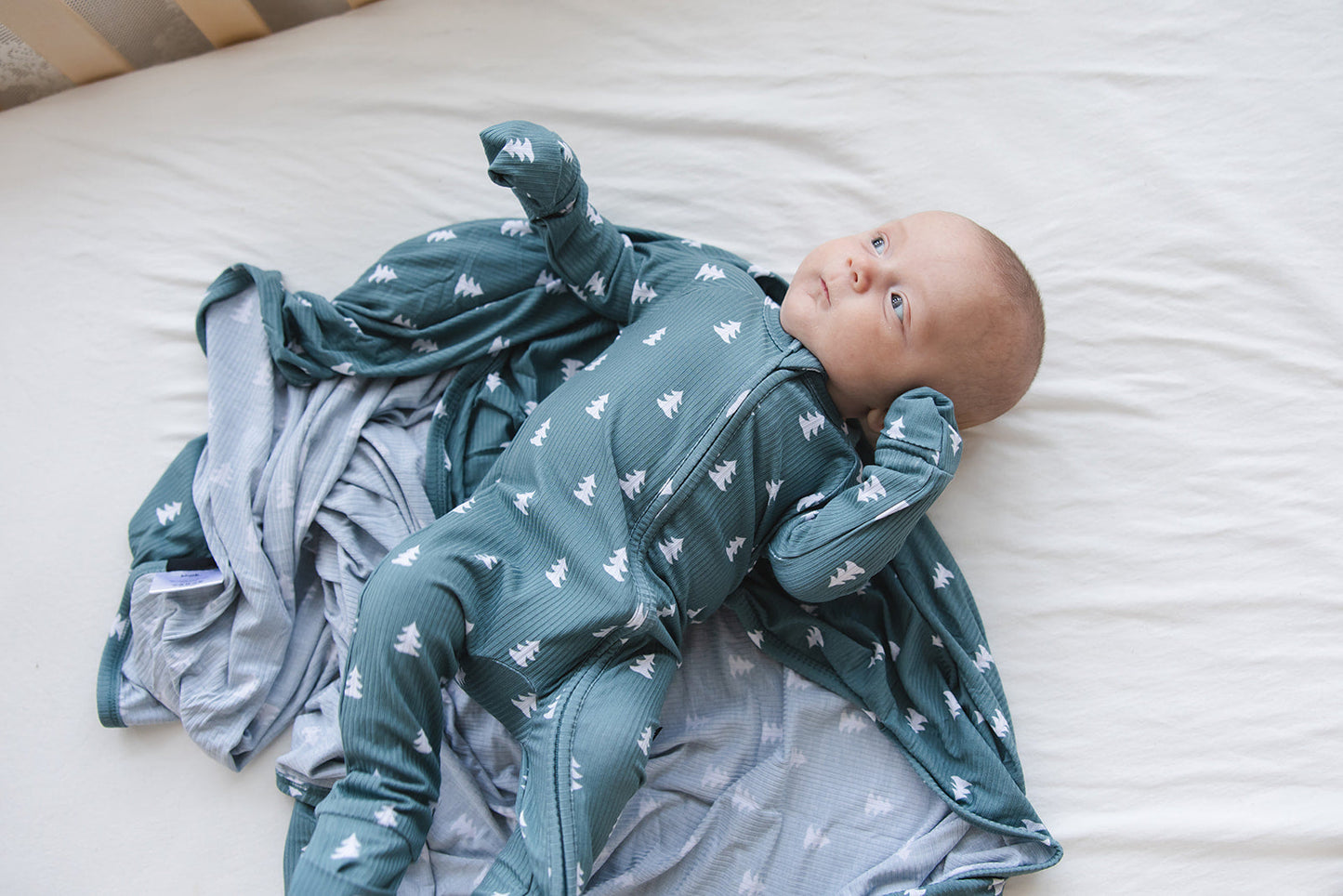 Northern Pine (ribbed) - Lightweight Blanket Blush Lotus