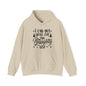 I Can Get You On The Naughty List Hooded Sweatshirt The Devil's Pickle