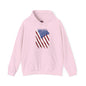Distressed American Flag Hooded Sweatshirt The Devil's Pickle
