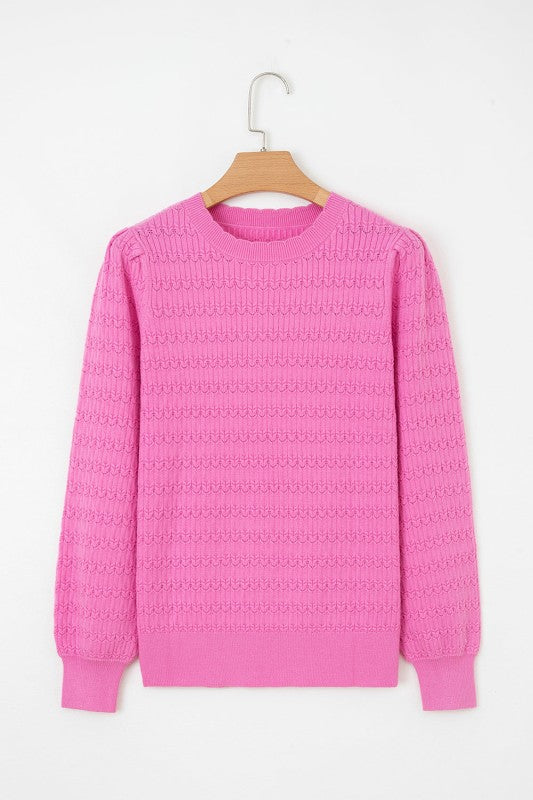 Solid Knit Ribbed Cuff Crewneck Sweater Shop Style & More | Fresh Looks, Everyday Deals & Free Shipping