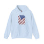 Distressed American Flag Hooded Sweatshirt The Devil's Pickle
