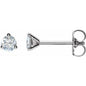 14K White 1/4  CTW Lab-Grown Diamond Stud Earrings Ethereal Legacy Boutiques