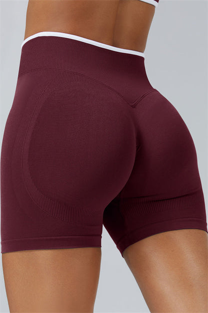 The Elevate Shorts Fitglutes Activewear Gymwear Sportswear & Workout Clothes