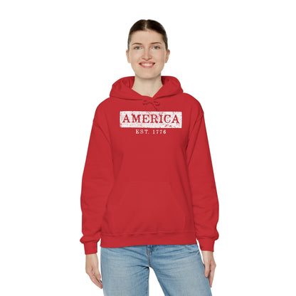 America Est. 1776 Hooded Sweatshirt The Devil's Pickle