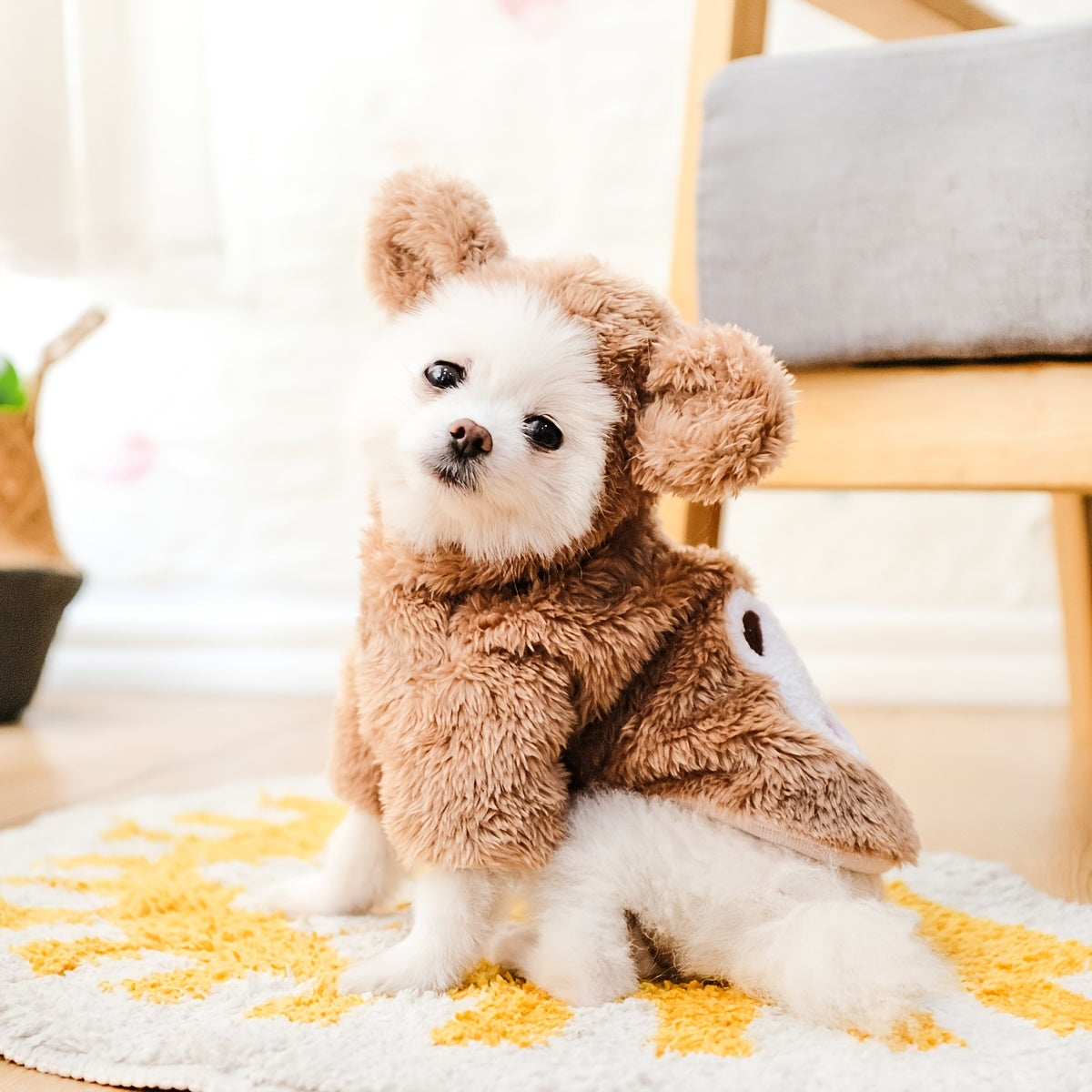 Pet Warm Teddy Bear Costume, Dog & Cat Pet Costumes NovaCart