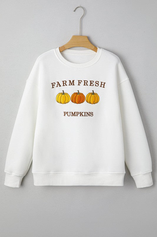 FARM FRESH PUMPKINS Thanksgiving Sweater Shop Style & More | Fresh Looks, Everyday Deals & Free Shipping