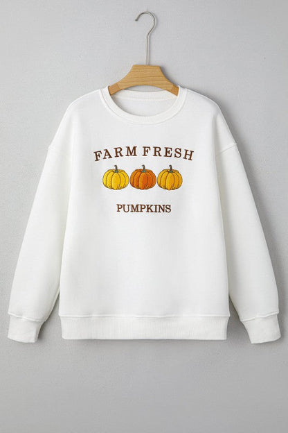FARM FRESH PUMPKINS Thanksgiving Sweater Shop Style & More | Fresh Looks, Everyday Deals & Free Shipping