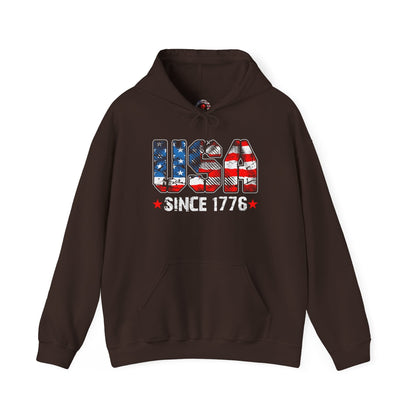 USA Since 1776 Hooded Sweatshirt The Devil's Pickle