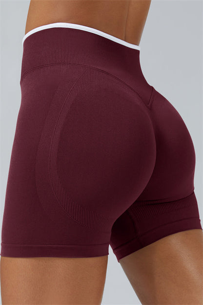 The Elevate Shorts Fitglutes Activewear Gymwear Sportswear & Workout Clothes