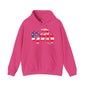 1776 American Flag Hooded Sweatshirt The Devil's Pickle