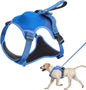 Dog Harness and Automatic Retractable Leash Kit ViralGalleria.com
