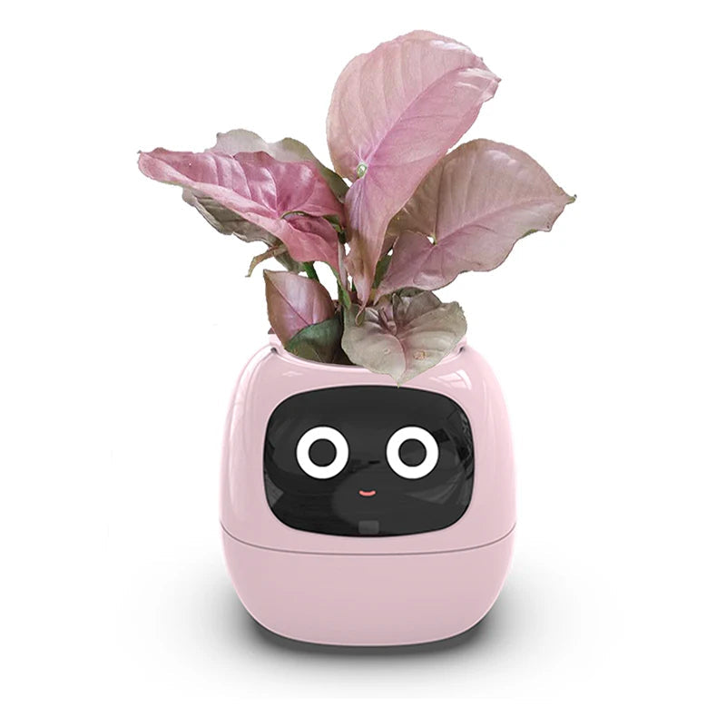 Smart Small Flower Pot ViralGalleria.com