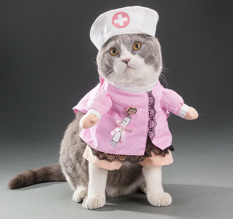 Funny Pets Costum ViralGalleria.com
