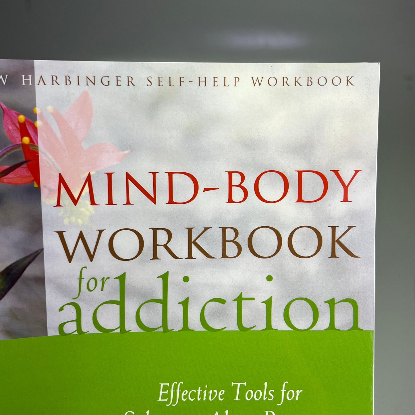 MIND-BODY WORKBOOK FOR ADDICTION Effective Tools Substance Abuse Recovery Book PayWut