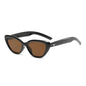 Fashion Cat Eye Sunglasses Women Men Classic Rice Nail Design FitiqueFit