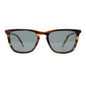 FENCROFT SUNGLASSES Out East Eyewear
