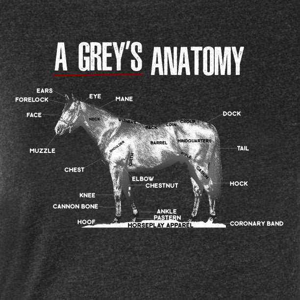 A Grey's Anatomy Tee: Ladies Horseplay Apparel