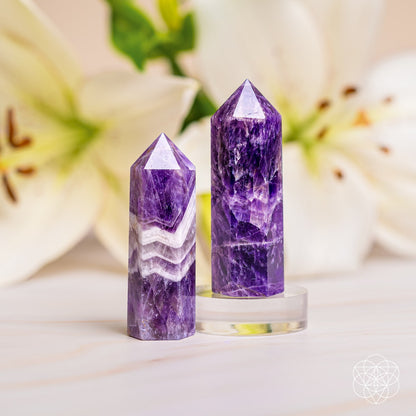 Cycle Breaker - Chevron Amethyst Point of Transformation Conscious Items
