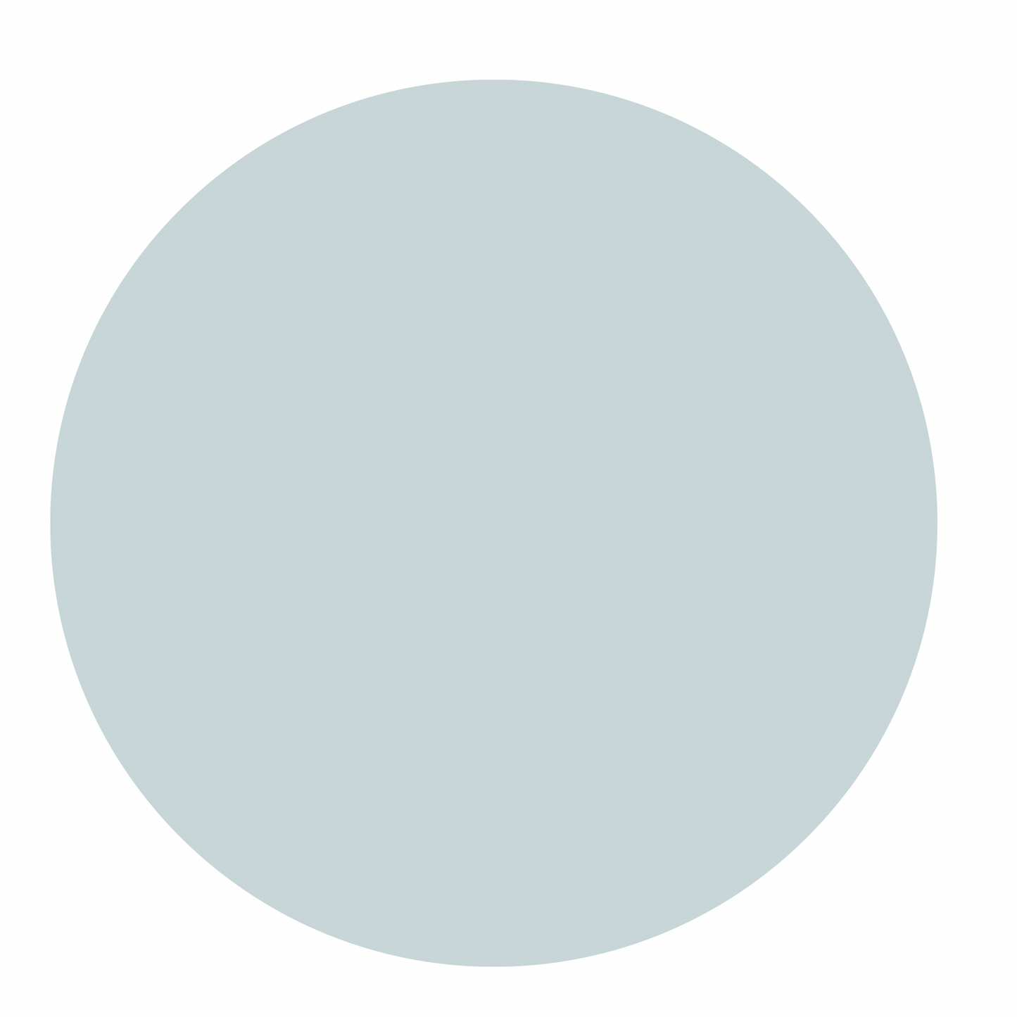 Everyday Tee - Pale Blue Blush Lotus