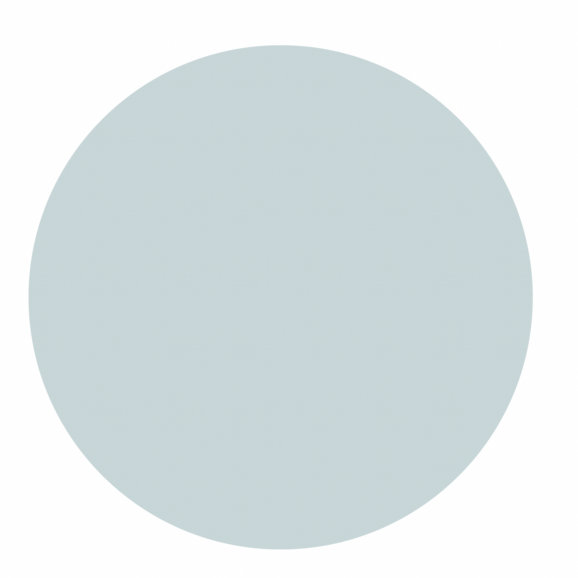 Everyday Tee - Pale Blue Blush Lotus
