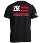 America 250 Years Anniversary Flag Shield Republic