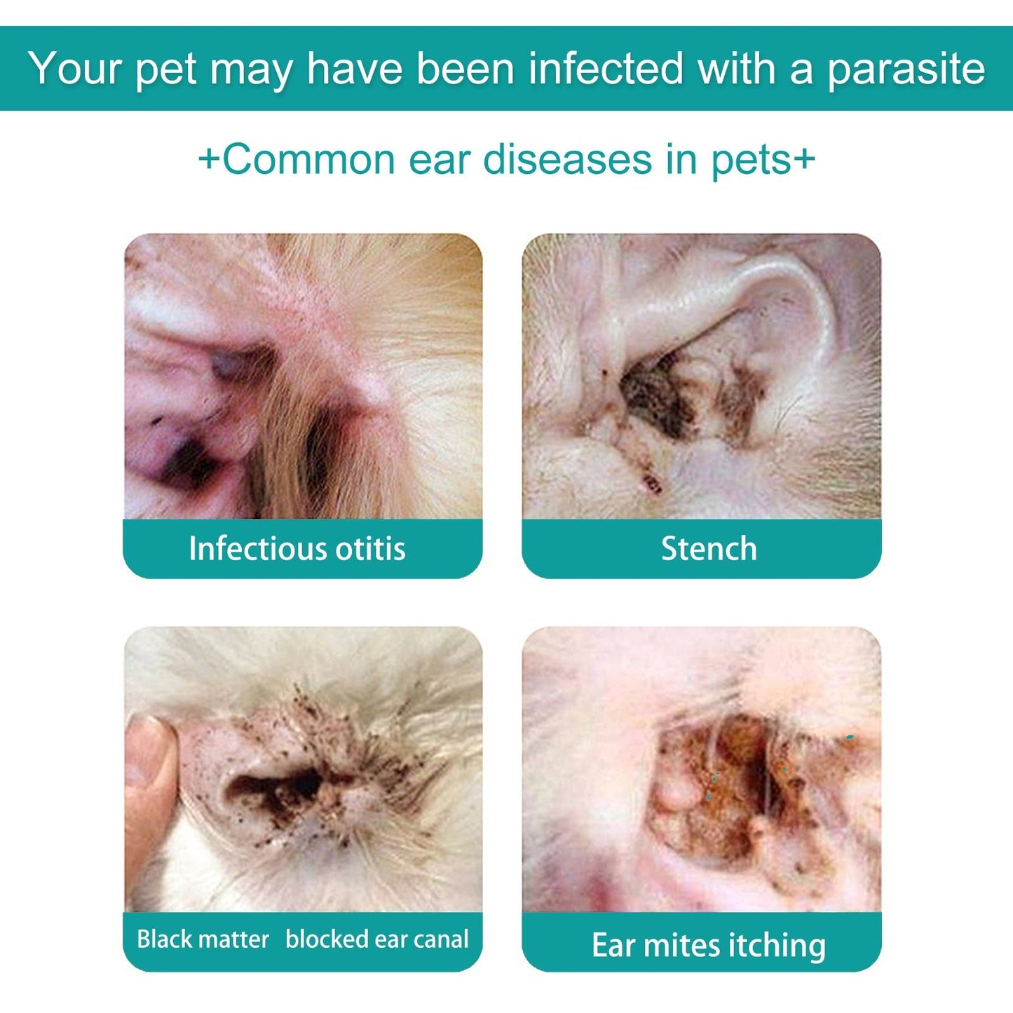 Pet Ear Cleaning Oil for Cats and Dogs - Cleansing, Deodorizing, and Removing Mites from Ears