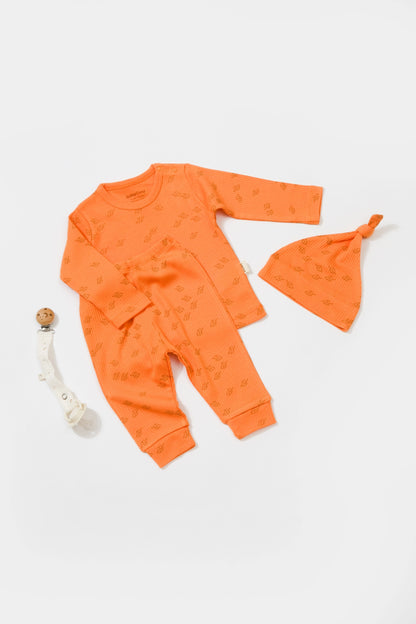 Three Piece Orange Elephant Set Honey and Hive
