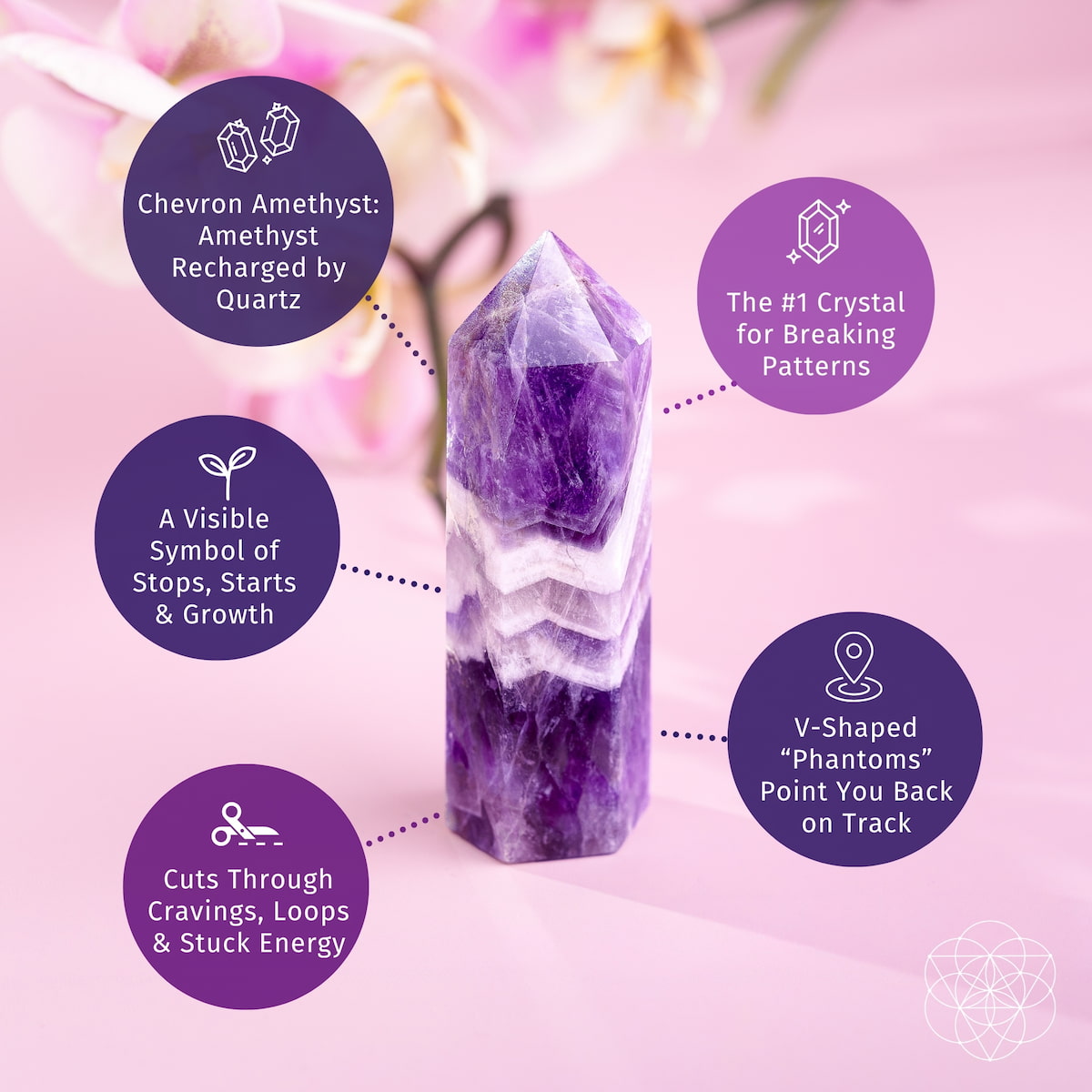 Cycle Breaker - Chevron Amethyst Point of Transformation Conscious Items