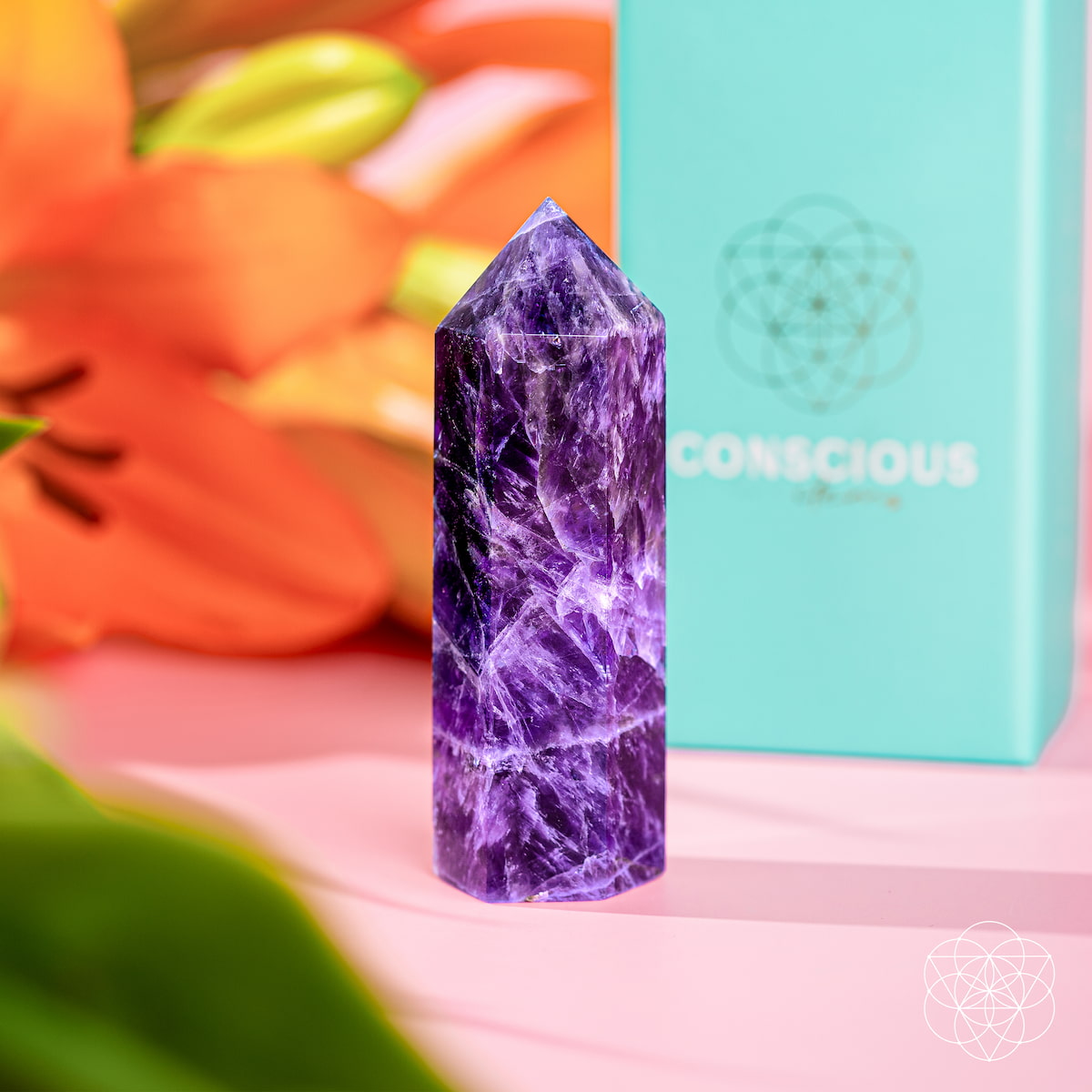 Cycle Breaker - Chevron Amethyst Point of Transformation Conscious Items