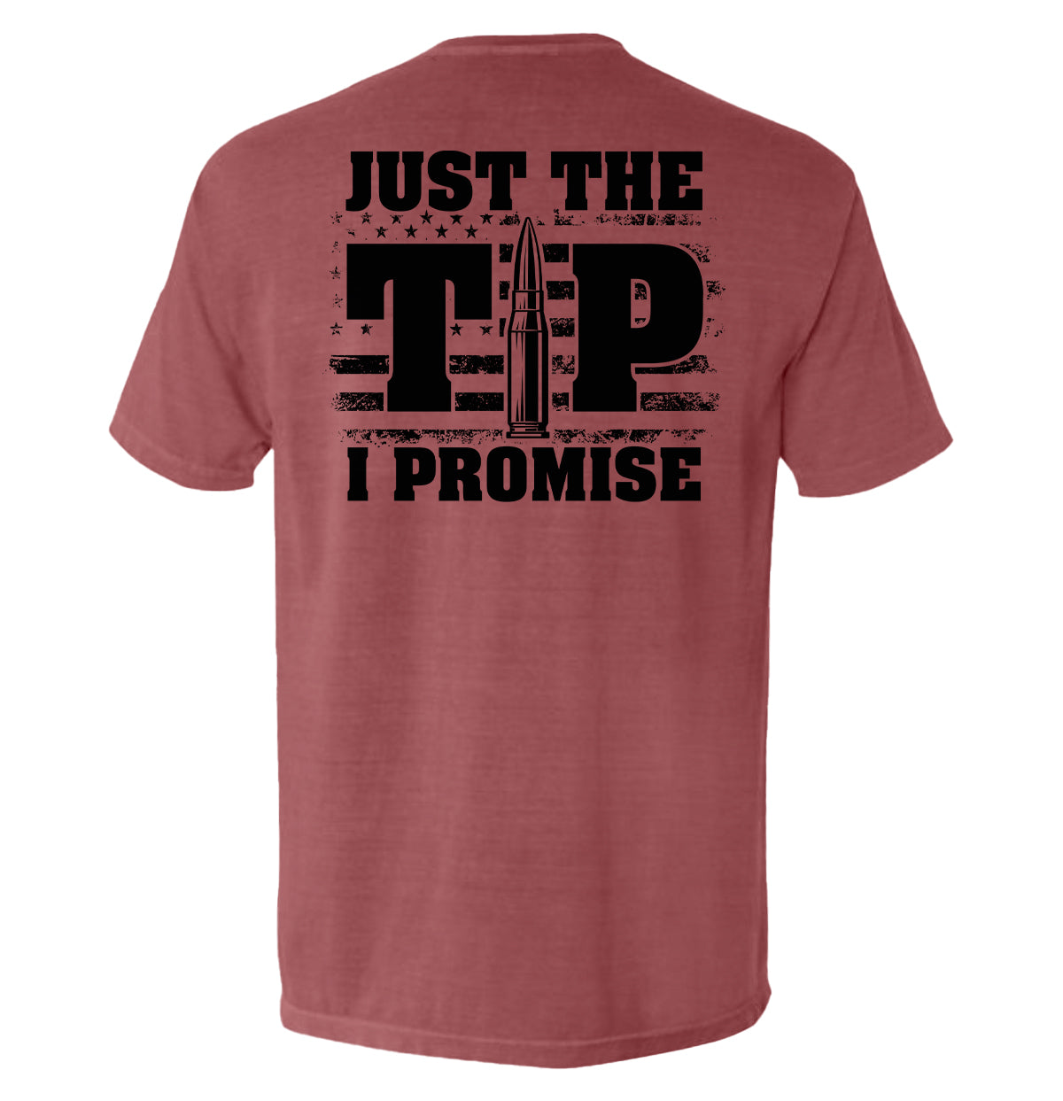 Just The Tip I Promise Flag Shield Republic