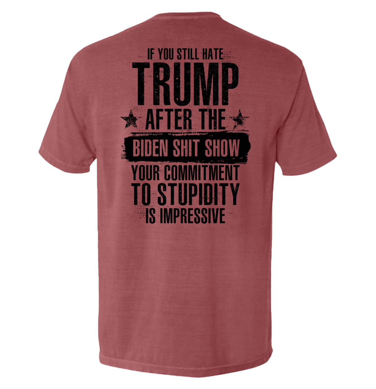 Your Commitment To Stupidity Is Impressive Shield Republic