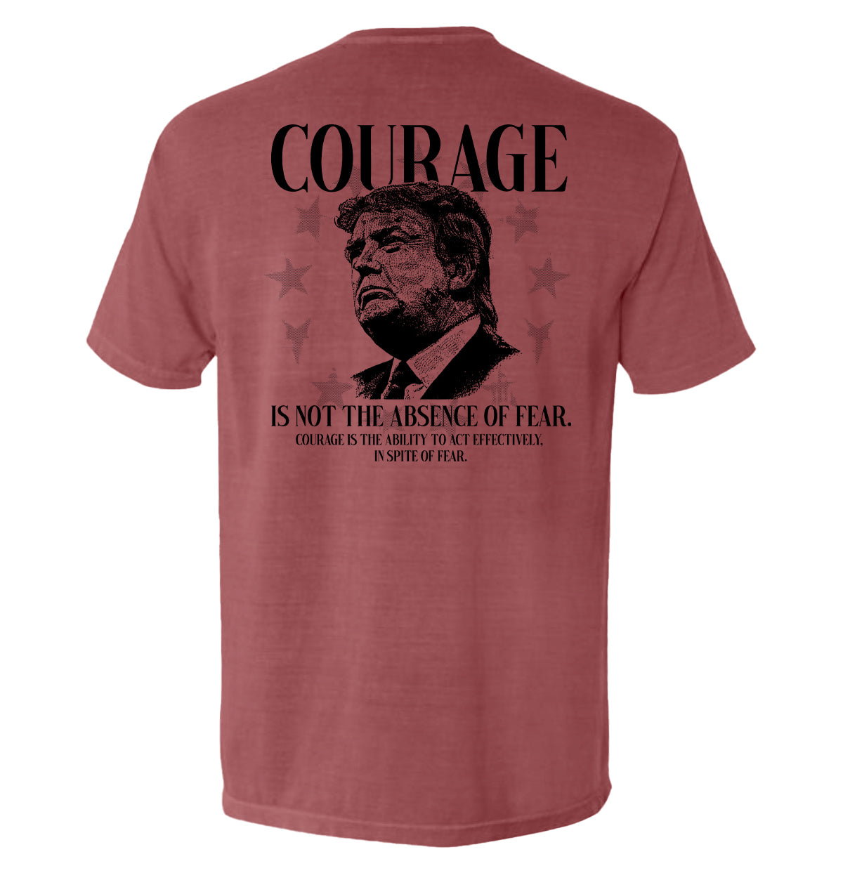 Courage Is Not The Absence of Fear Shield Republic