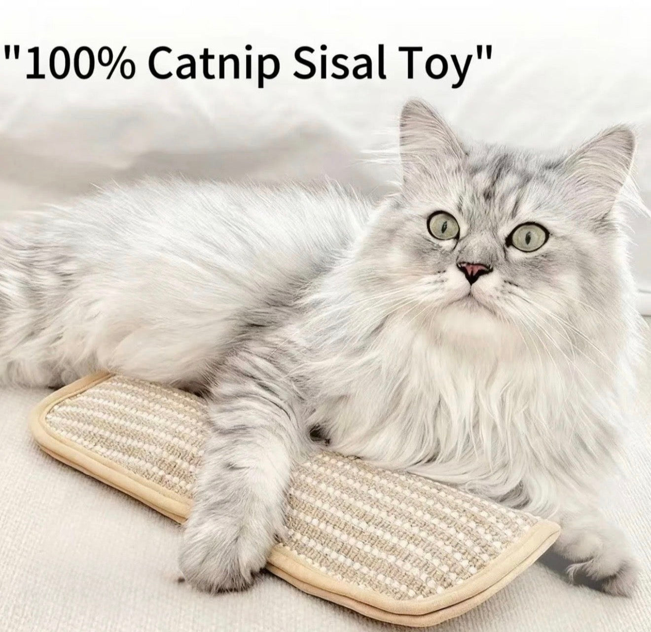 CatNip Fury Kicker