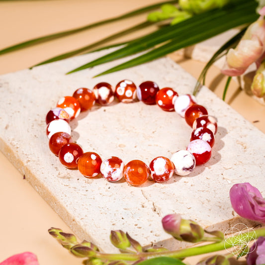 Feminine Force – Carnelian Orca Agate Bracelet Conscious Items