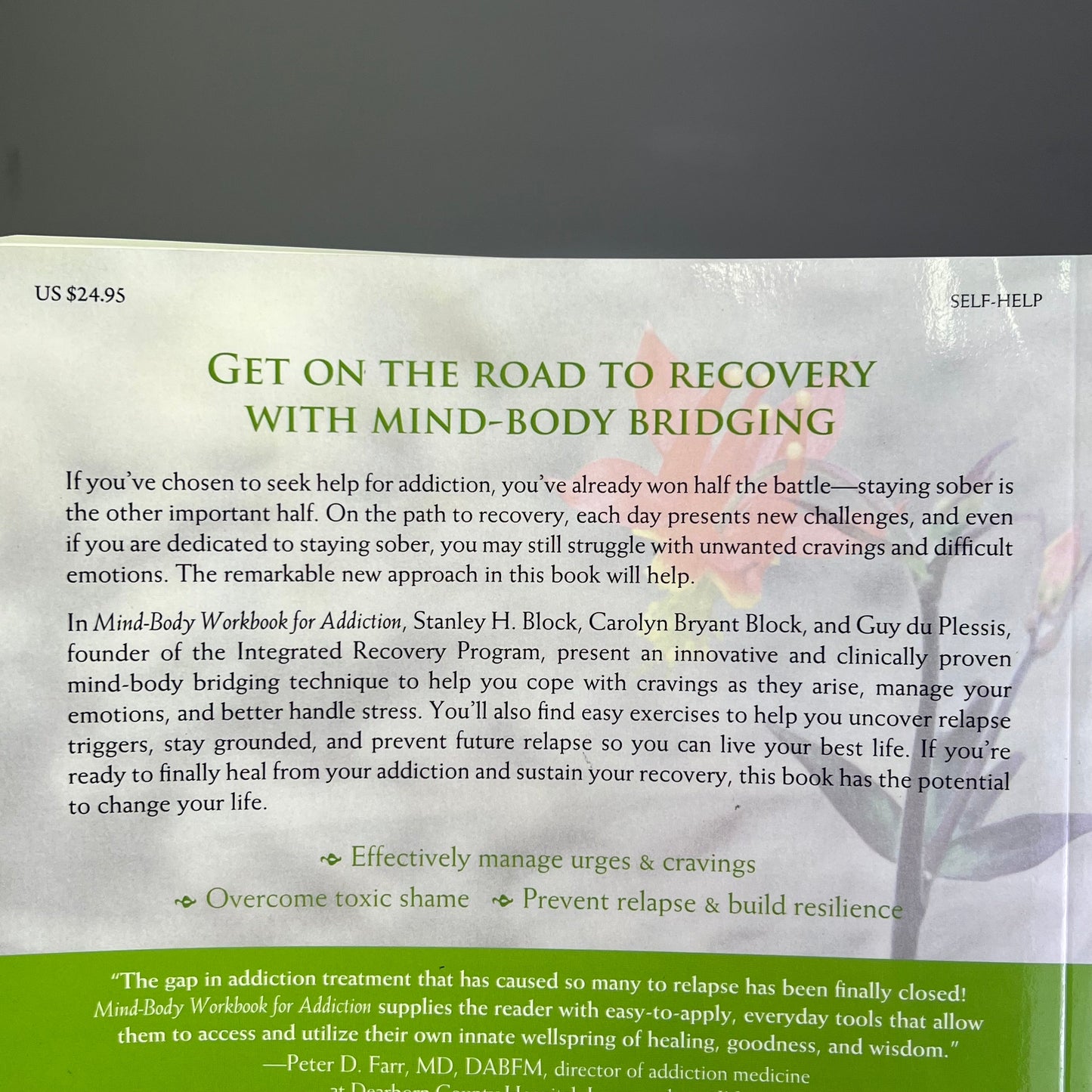 MIND-BODY WORKBOOK FOR ADDICTION Effective Tools Substance Abuse Recovery Book PayWut