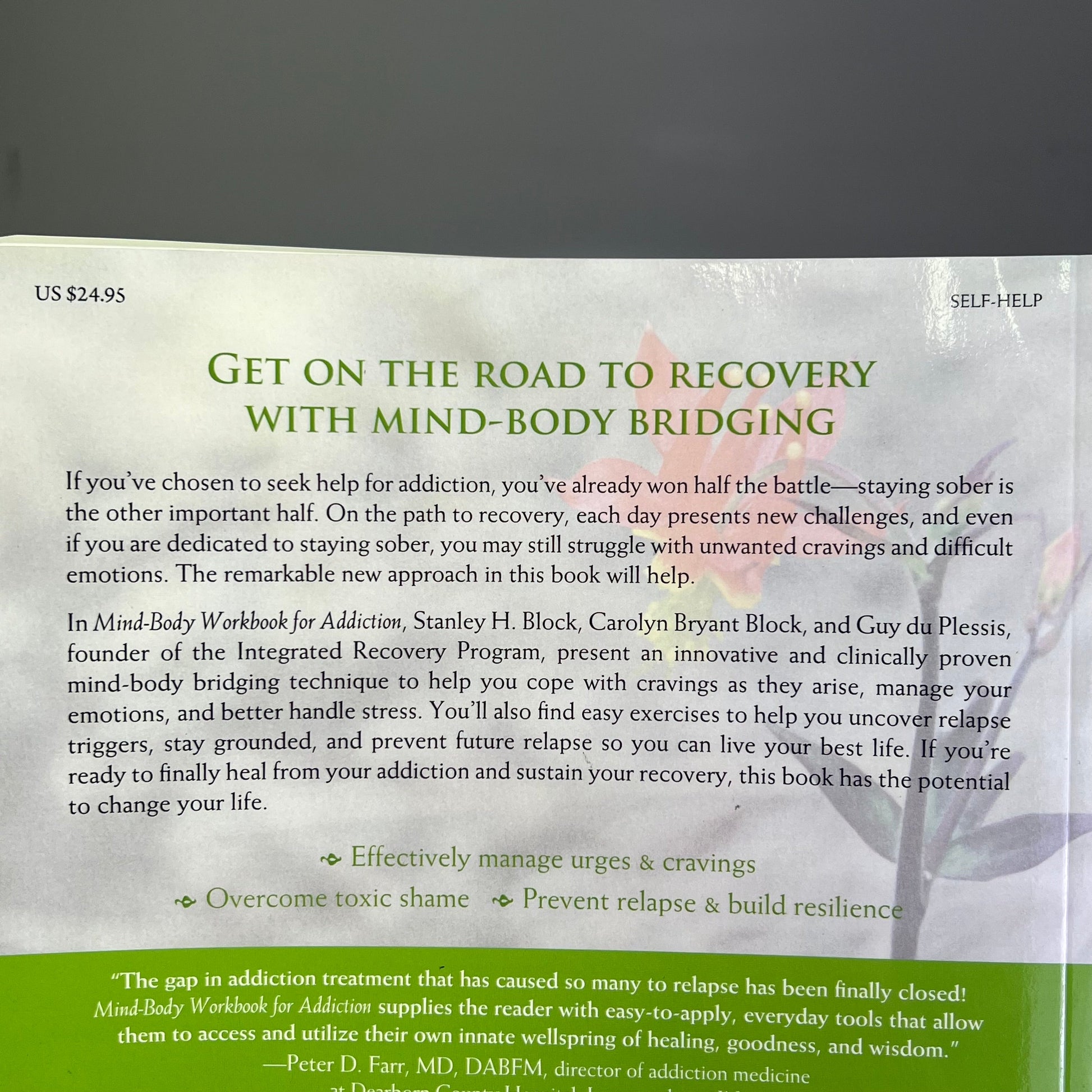 MIND-BODY WORKBOOK FOR ADDICTION Effective Tools Substance Abuse Recovery Book PayWut