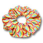 Packed Rainbows Scrunchie Enchanted Scrunch